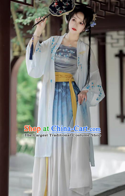 China Song Dynasty Village Girl Clothing Traditional Woman Hanfu Costumes Ancient Young Lady Blue Dresses