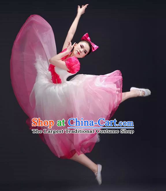Opening Dance Big Swing Skirt Performance Costume Female Dance Costume Song and Dance Dress Modern Stage Long Skirt