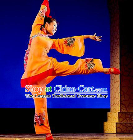 China Classical Dance Clothing Taoli Cup Dance Competition Outfit Woman Solo Stage Performance Costume