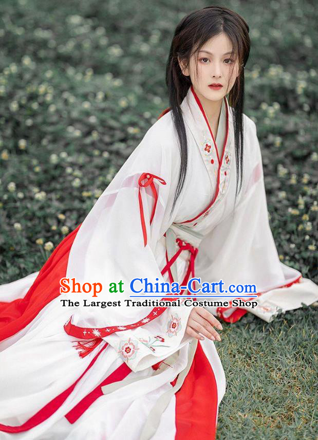 Chinese Ancient Heroine Clothing Hanfu White Ru Qun Jin Dynasty Swordswoman Dresses