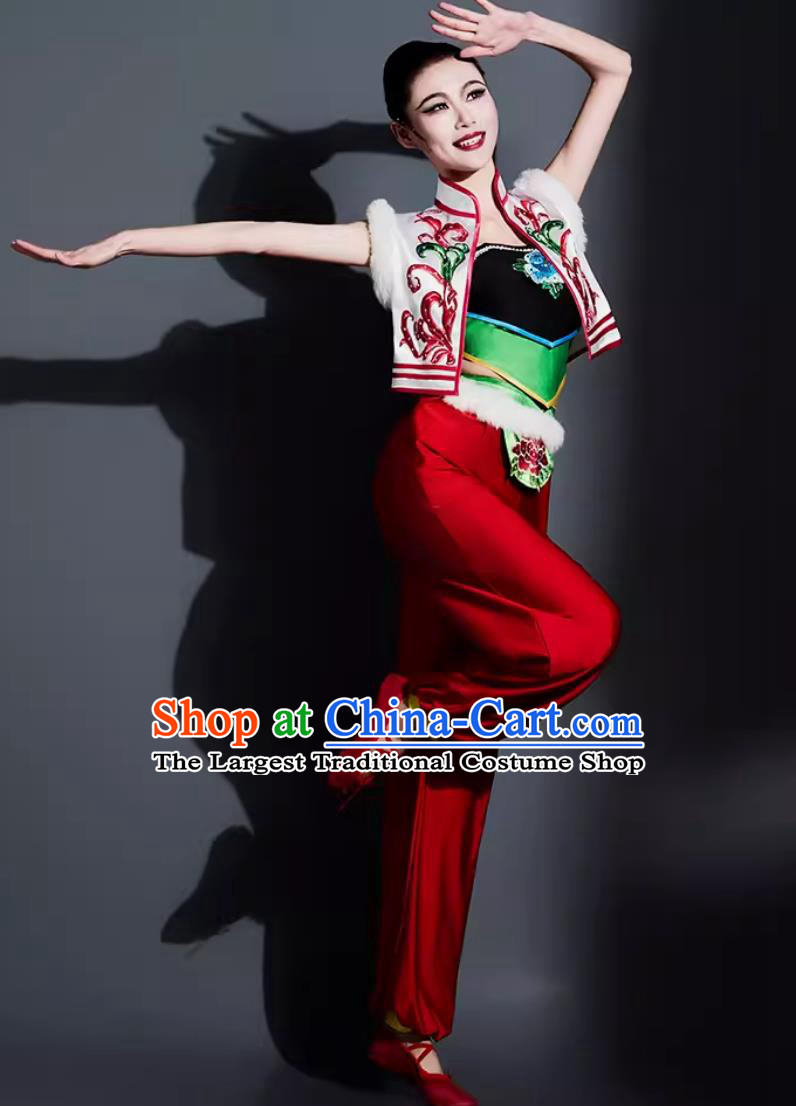 China Yangko Dance Outfit Chinese Folk Dance Costume Traditional Fan Dance Women Group Dance Clothing