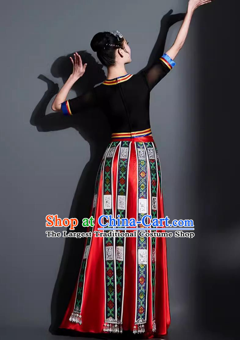 Chinese Classical Dance Costume Traditional Tibetan Ethnic Dance Clothing China Zang Nationality Dance Dress