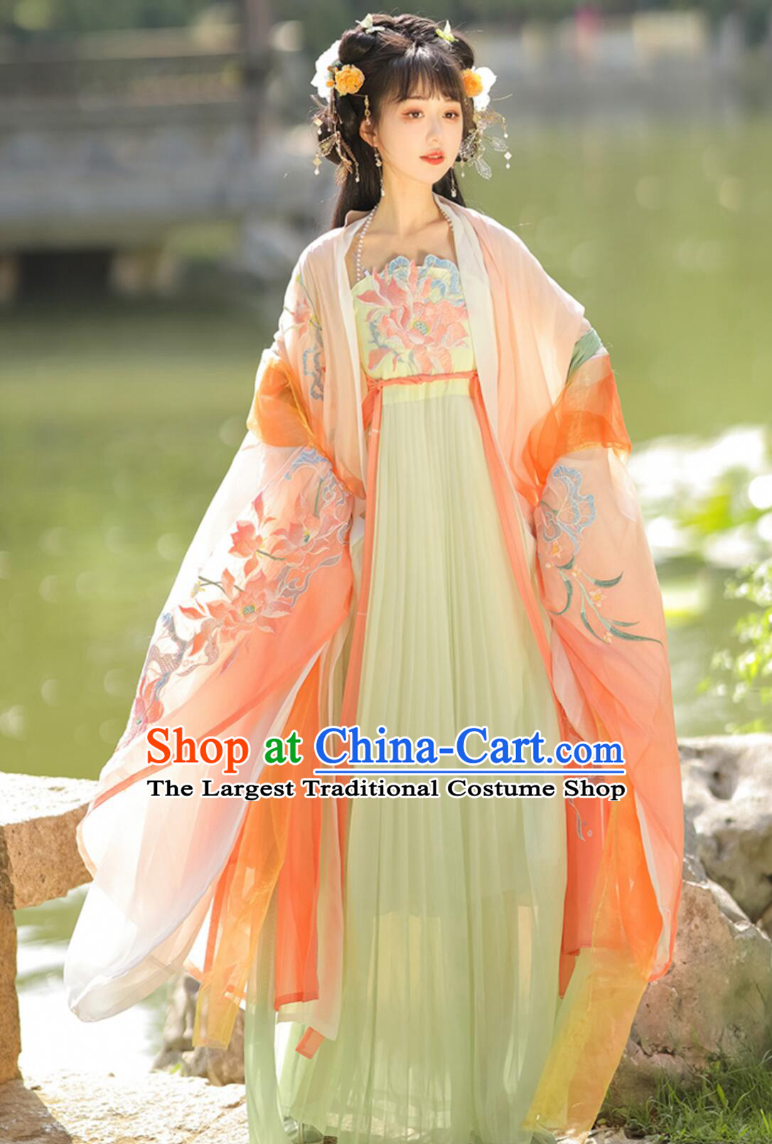 Ancient China Young Lady Costume Traditional Chinese Clothing Tang Dynasty Princess Hanfu Dress