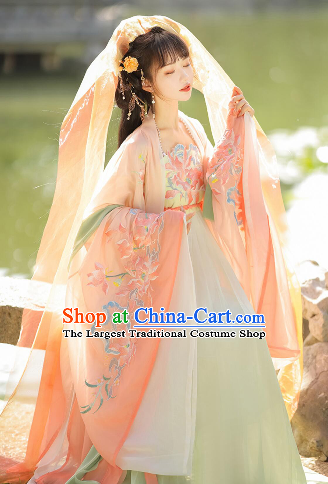 Ancient China Young Lady Costume Traditional Chinese Clothing Tang Dynasty Princess Hanfu Dress