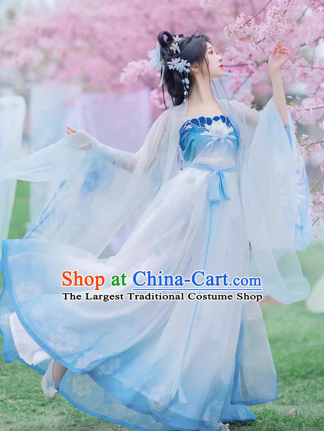 Ancient China Flower Fairy Costume Chinese Traditional Blue Hanfu Dress Tang Dynasty Princess Embroidered Clothing