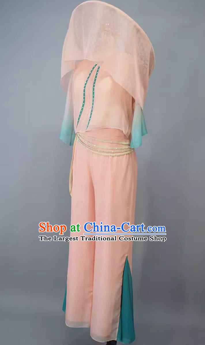China Fan Dance Clothing Country Women Group Dance Dress Chinese Classical Dance Costume