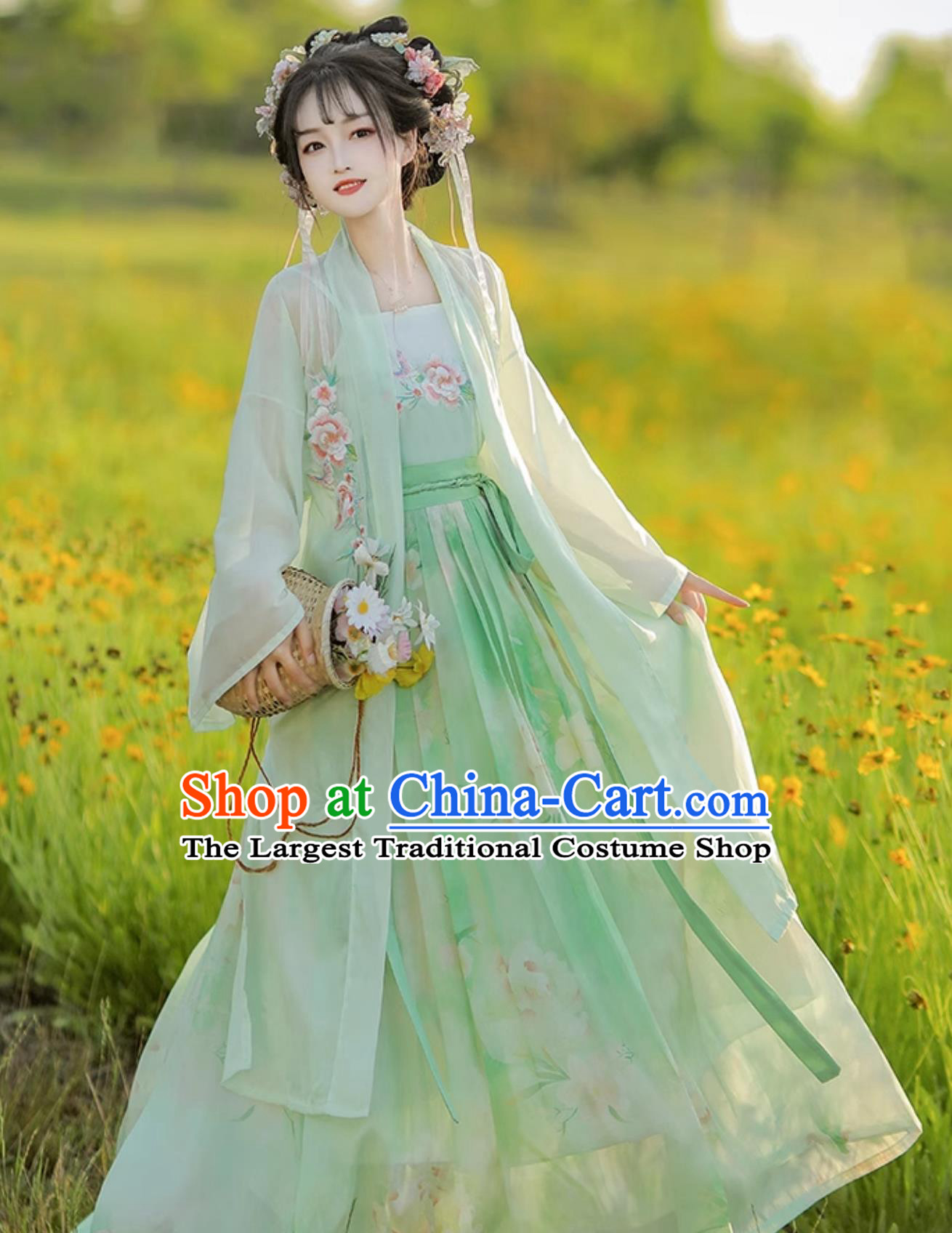 Ancient China Young Lady Clothing Traditional Green Hanfu Dress Chinese Song Dynasty Costume
