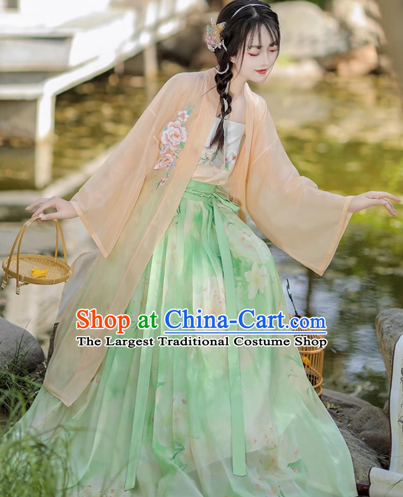 Chinese Song Dynasty Female Costume Ancient China Young Lady Clothing Traditional Hanfu Dress