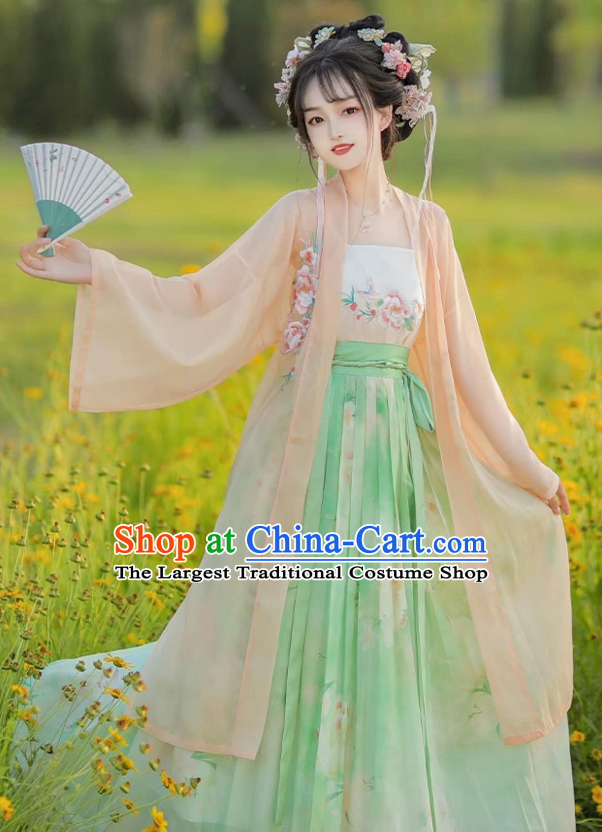 Chinese Song Dynasty Female Costume Ancient China Young Lady Clothing Traditional Hanfu Dress