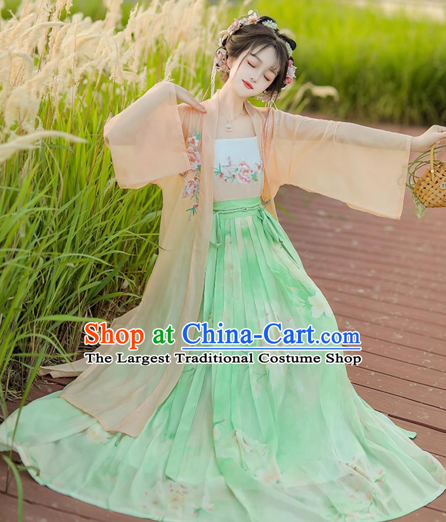 Chinese Song Dynasty Female Costume Ancient China Young Lady Clothing Traditional Hanfu Dress
