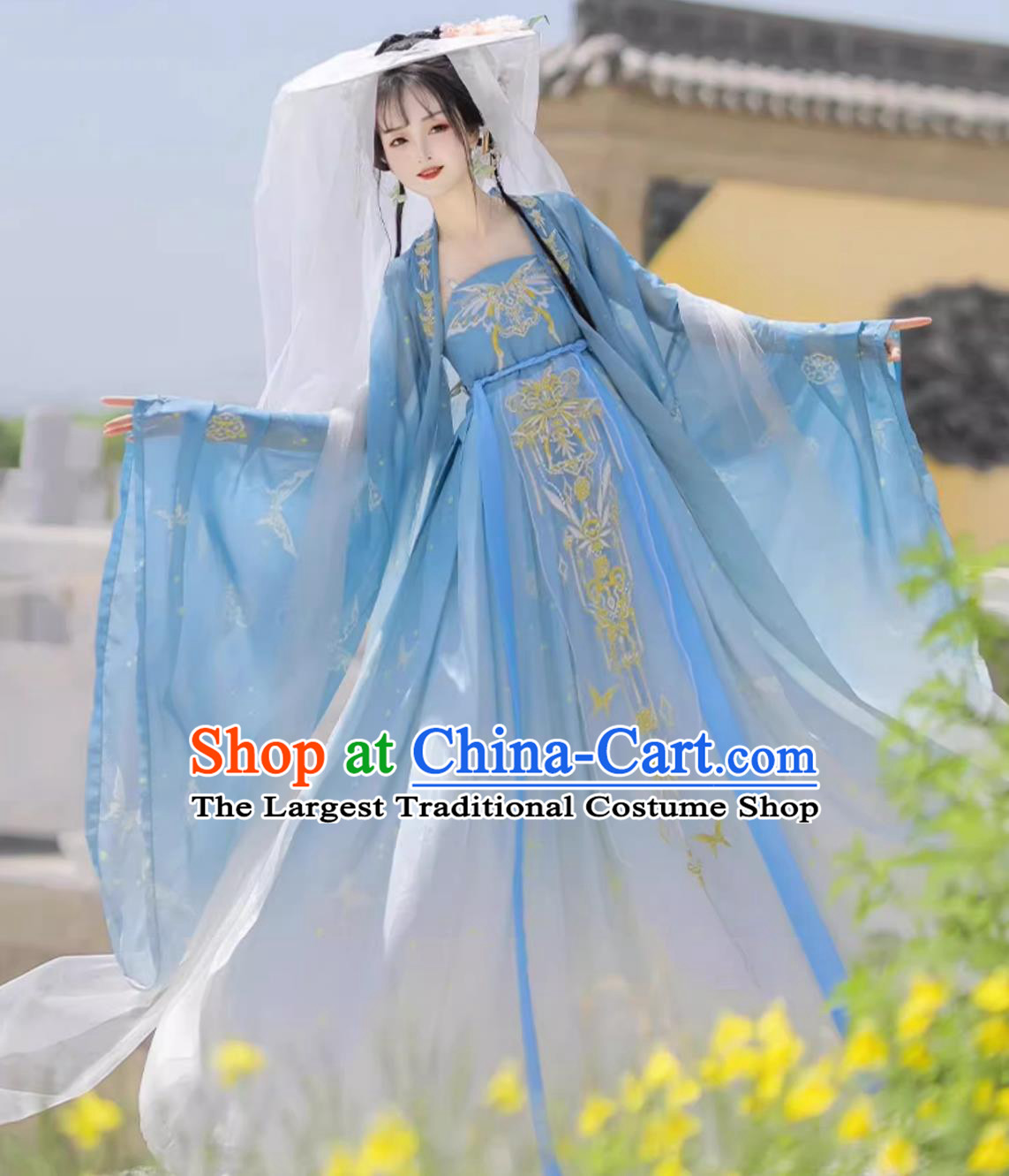 Traditional Chinese Blue Hanfu Dress Ancient China Princess Costume Tang Dynasty Court Lady Clothing