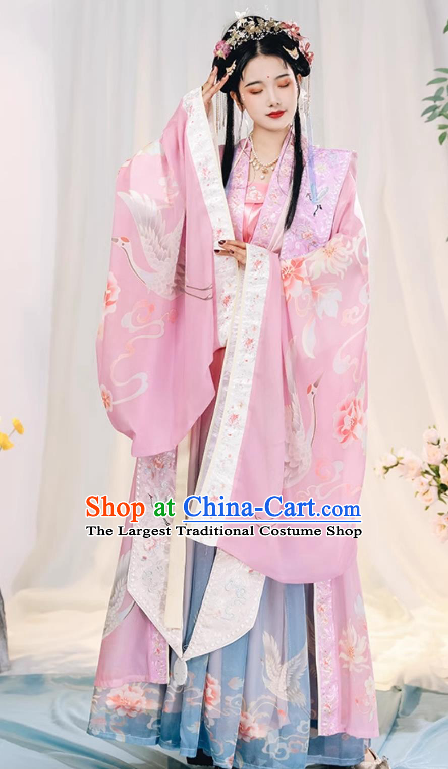 Chinese Traditional Hanfu Dress Xia Pei Song Dynasty Court Woman Clothing Ancient China Princess Costume Complete Set