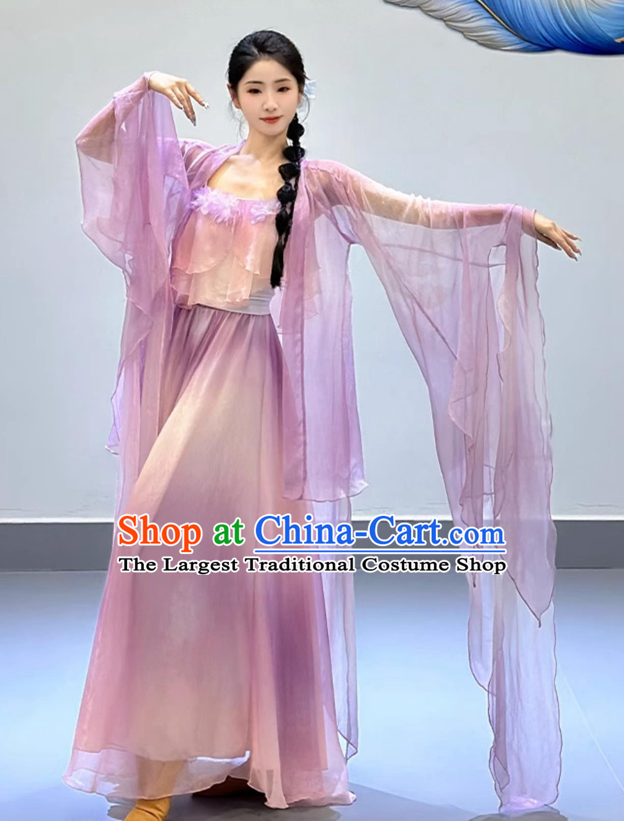 Chinese Classical Dance Costume Petal Dance Clothing Woman Solo Dance Lilac Dress