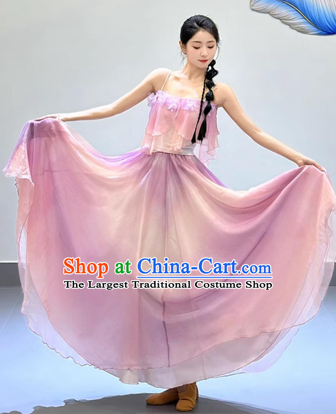 Chinese Classical Dance Costume Petal Dance Clothing Woman Solo Dance Lilac Dress