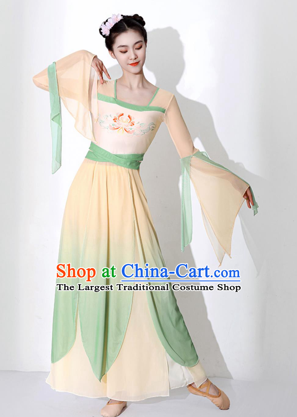 Chinese Stage Performance Fan Dance Dress Classical Dance Costume Woman Dance Exercise Clothing