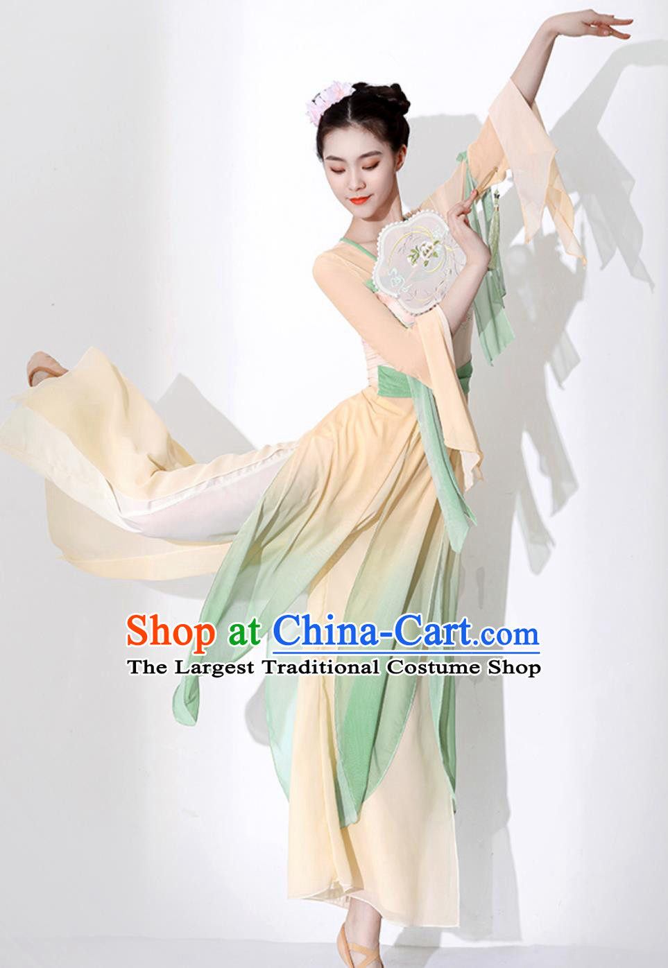 Chinese Stage Performance Fan Dance Dress Classical Dance Costume Woman Dance Exercise Clothing