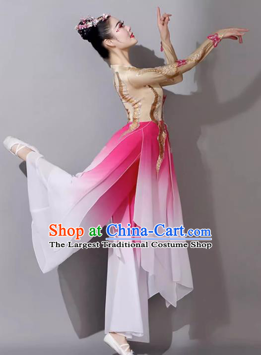 Female Solo Dance Art Examination Dance Dress Wanjiang Classical Dance Performance Costume Chinese Dance Umbrella Dance Pink Clothing