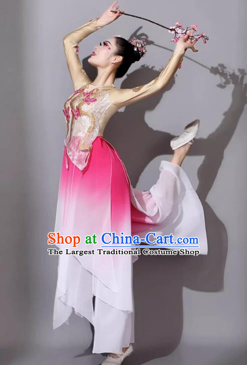 Female Solo Dance Art Examination Dance Dress Wanjiang Classical Dance Performance Costume Chinese Dance Umbrella Dance Pink Clothing
