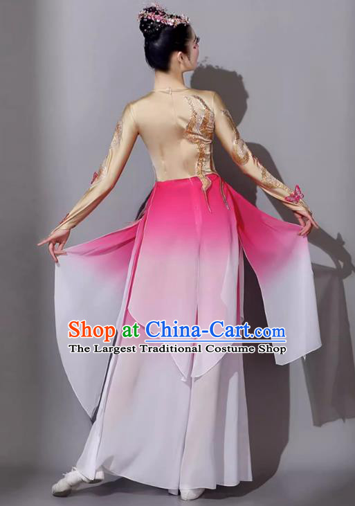 Female Solo Dance Art Examination Dance Dress Wanjiang Classical Dance Performance Costume Chinese Dance Umbrella Dance Pink Clothing
