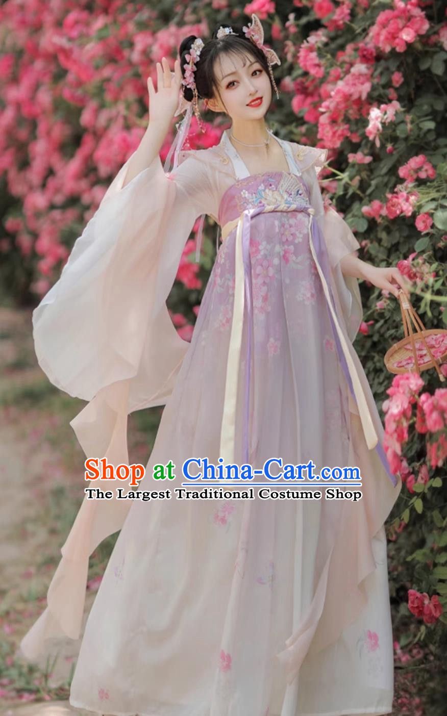 Chinese Woman Hanfu Dresses Ancient Palace Princess Costumes Traditional Fairy Clothing