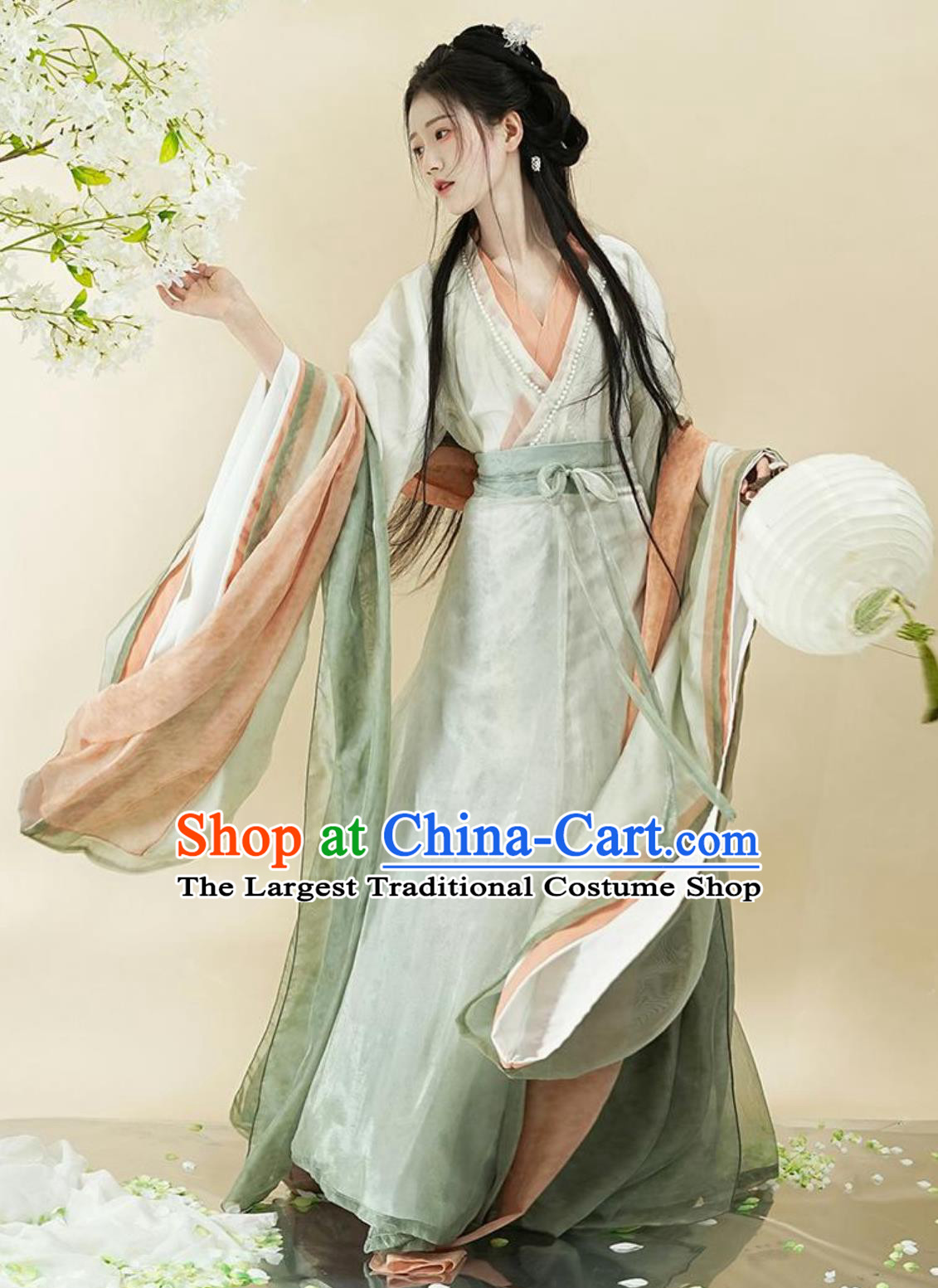 Ancient China Southern and Northern Dynasties Hanfu Clothing Online Buy Traditional Chinese Princess Costume Female Dress