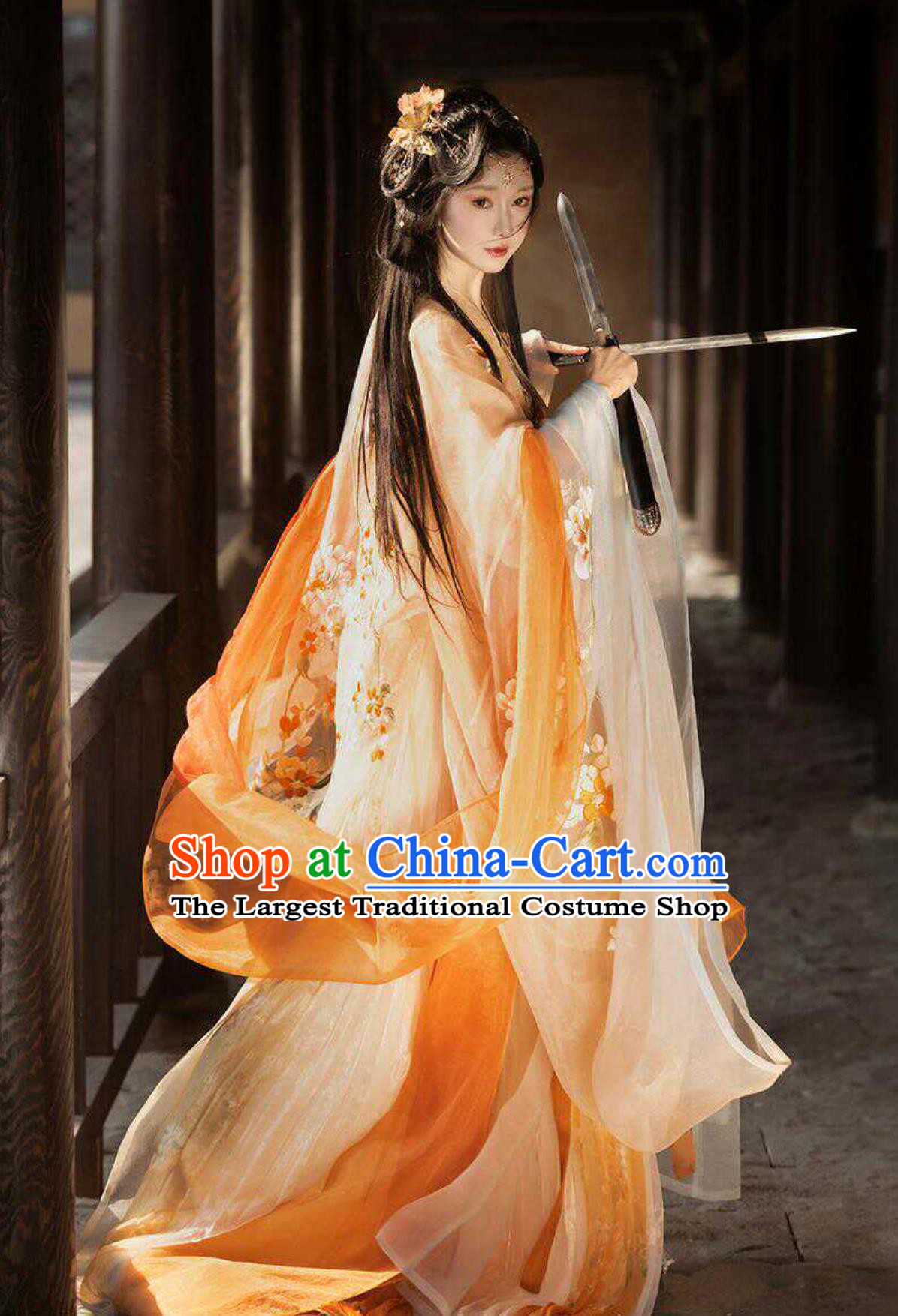 Ancient Chinese Female Costumes China Tang Dynasty Princess Hanfu Clothing Online Buy Embroidered Hezi Qun