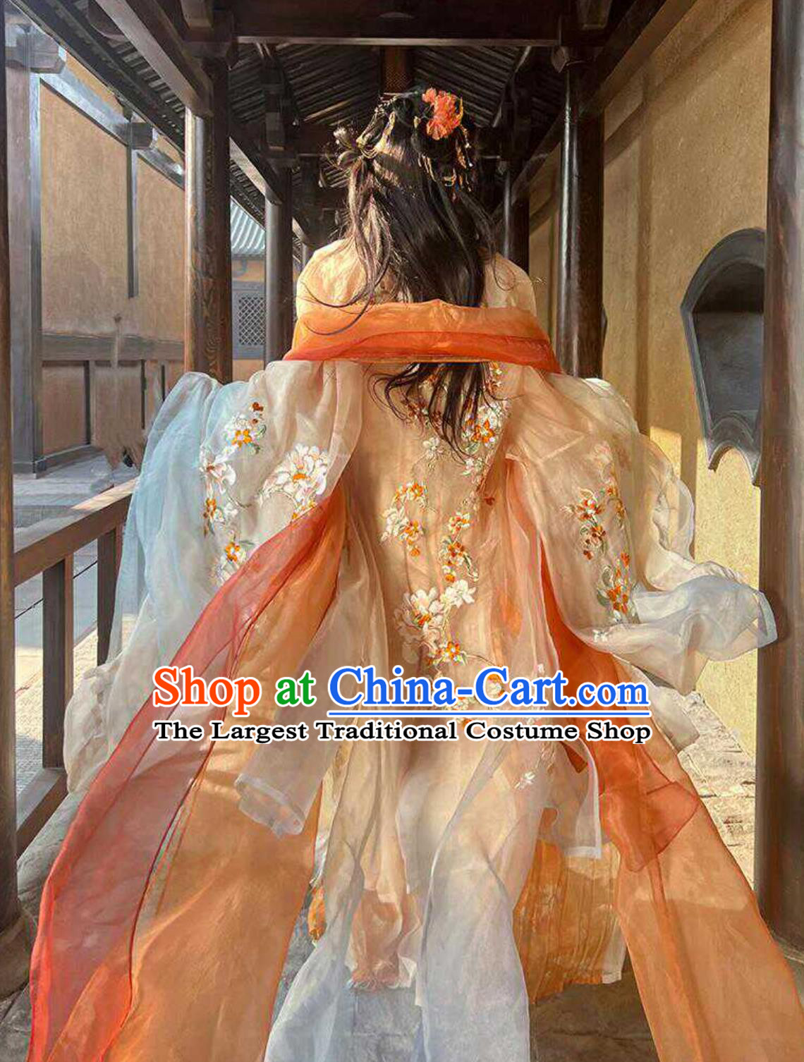Ancient Chinese Female Costumes China Tang Dynasty Princess Hanfu Clothing Online Buy Embroidered Hezi Qun