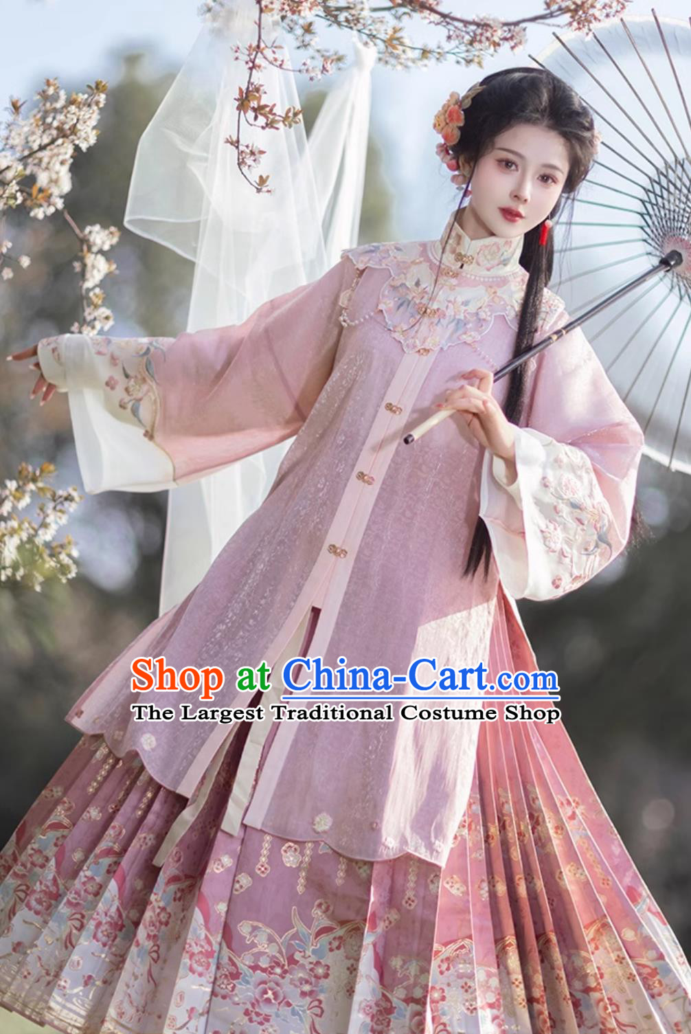 Traditional Ming Dynasty Princess Hanfu China Pink Long Shirt and Mamian Qun Ancient Chinese Female Costumes