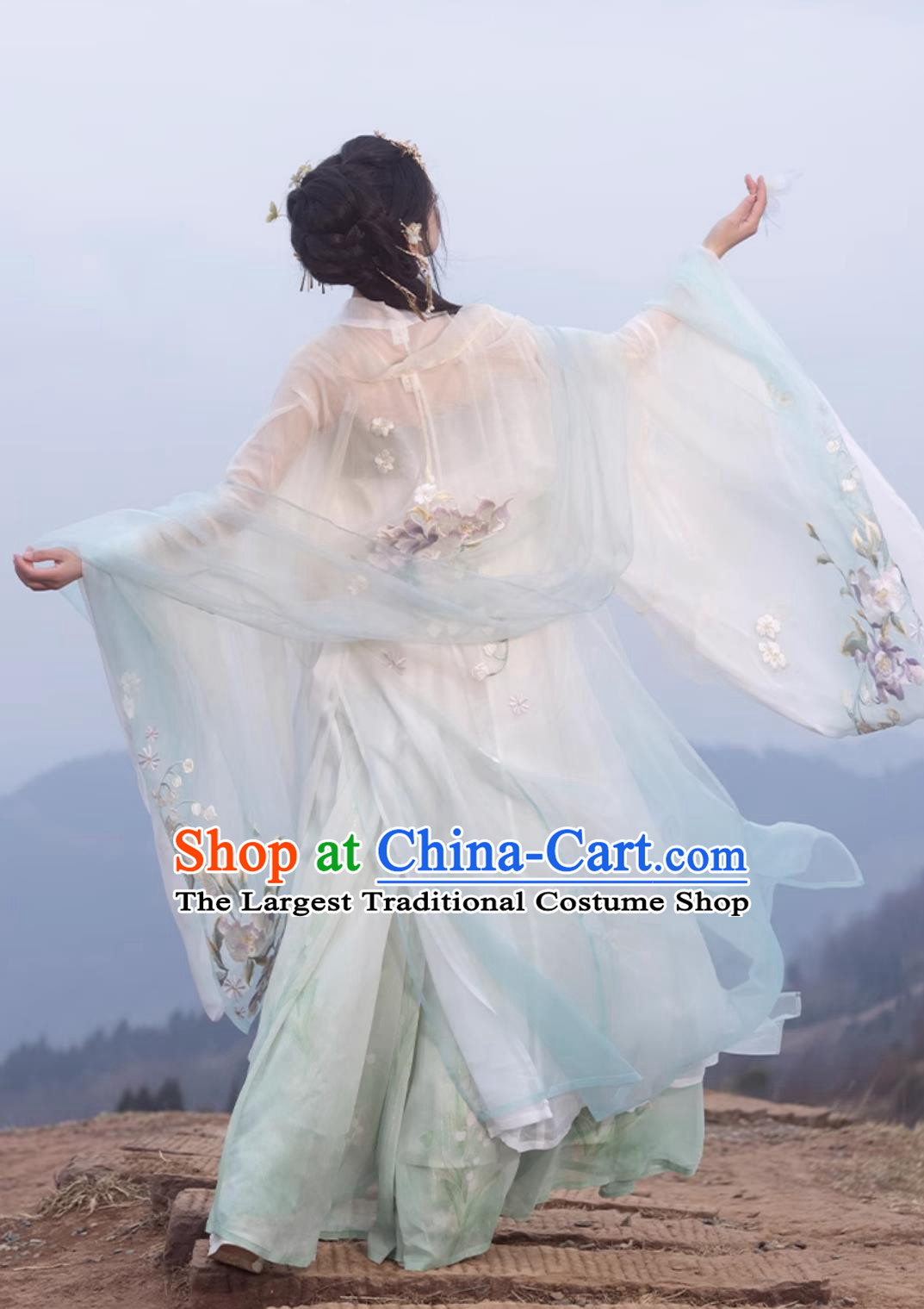 Ancient Chinese Female Costume Traditional Tang Dynasty Princess Hanfu China Classical Hezi Qun