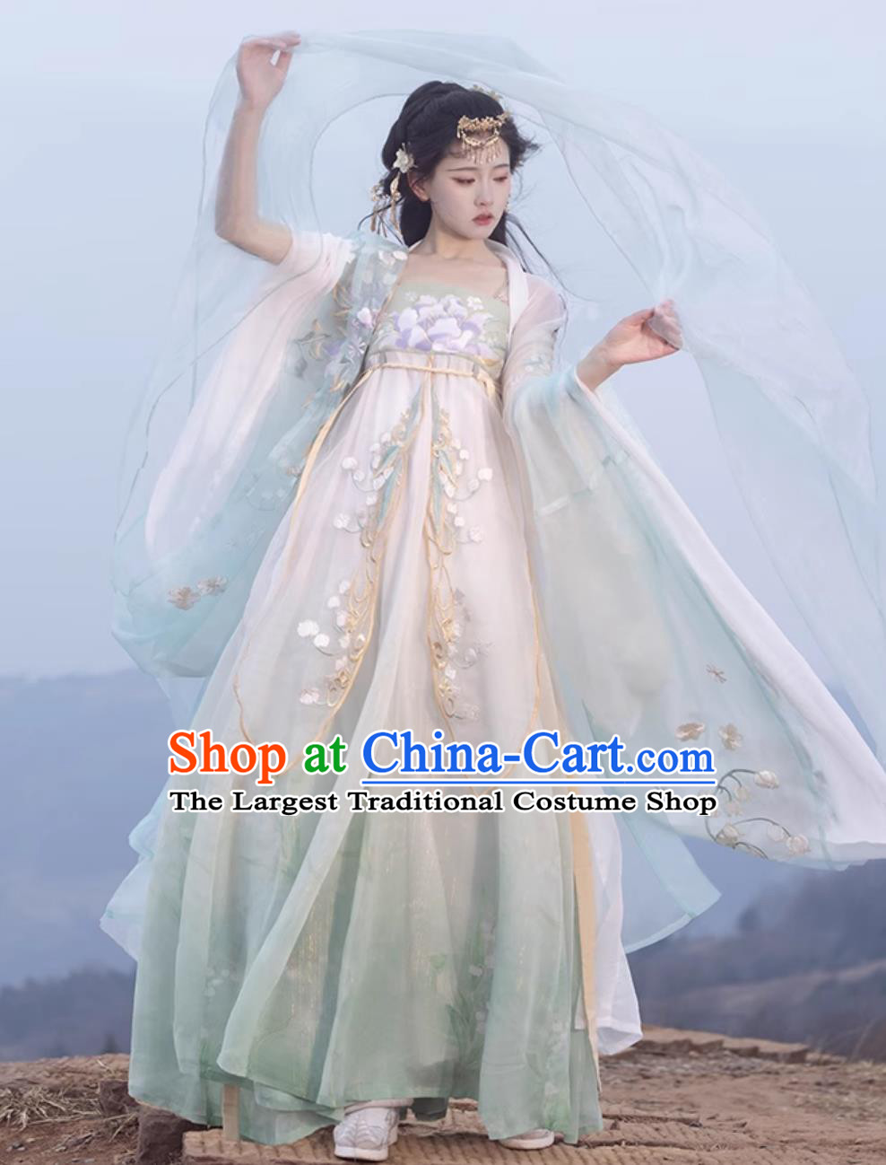 Ancient Chinese Female Costume Traditional Tang Dynasty Princess Hanfu China Classical Hezi Qun