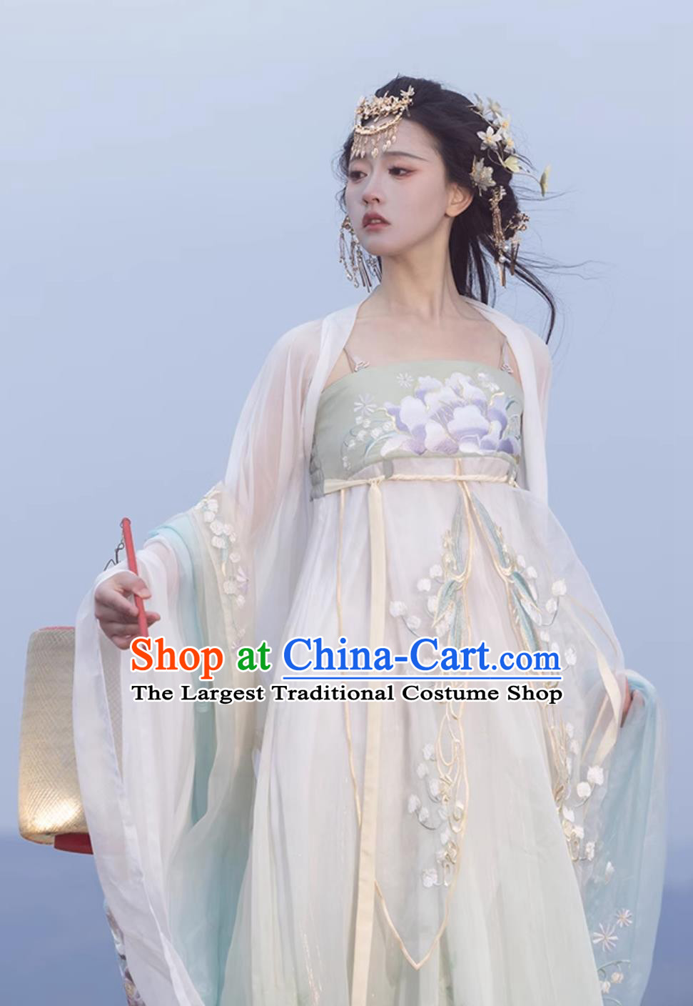 Ancient Chinese Female Costume Traditional Tang Dynasty Princess Hanfu China Classical Hezi Qun