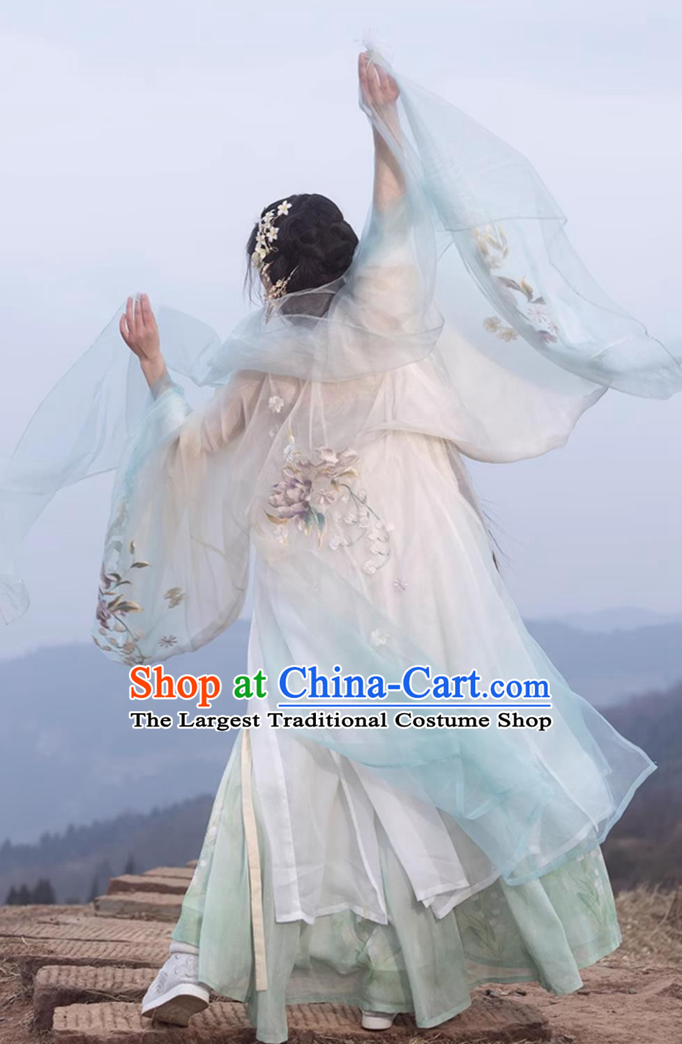 Ancient Chinese Female Costume Traditional Tang Dynasty Princess Hanfu China Classical Hezi Qun