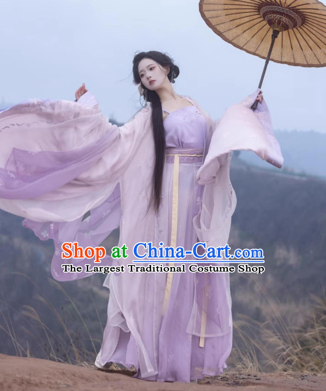 Traditional Song Dynasty Hanfu China Woman Clothing Ancient Chinese Princess Lilac Costumes