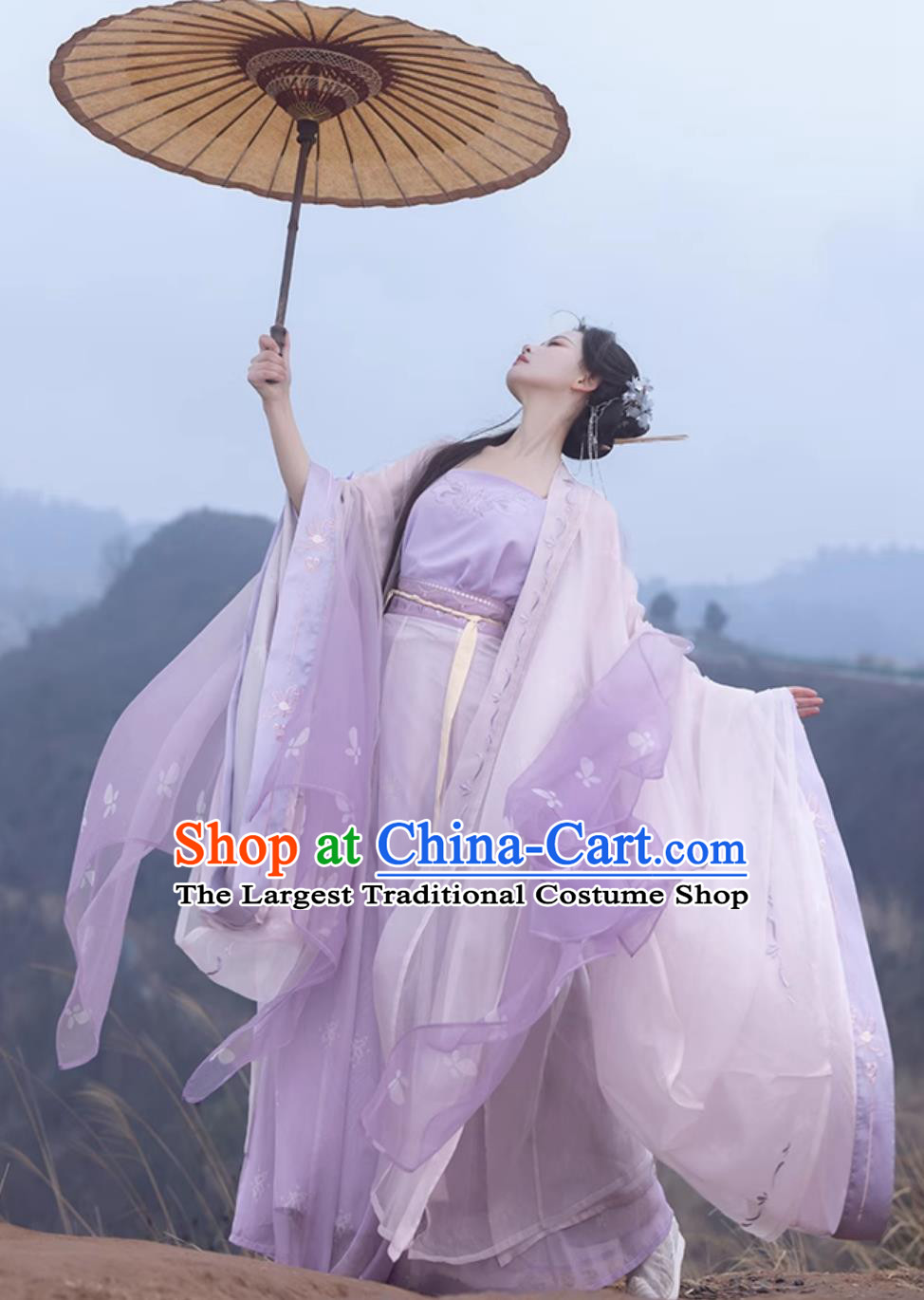 Traditional Song Dynasty Hanfu China Woman Clothing Ancient Chinese Princess Lilac Costumes