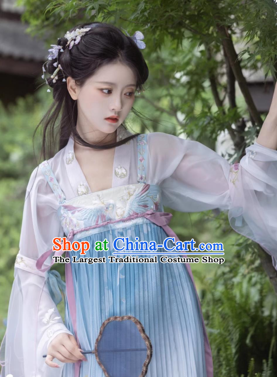 Traditional Tang Dynasty Princess Blue Hanfu Dress Ancient Chinese Clothing