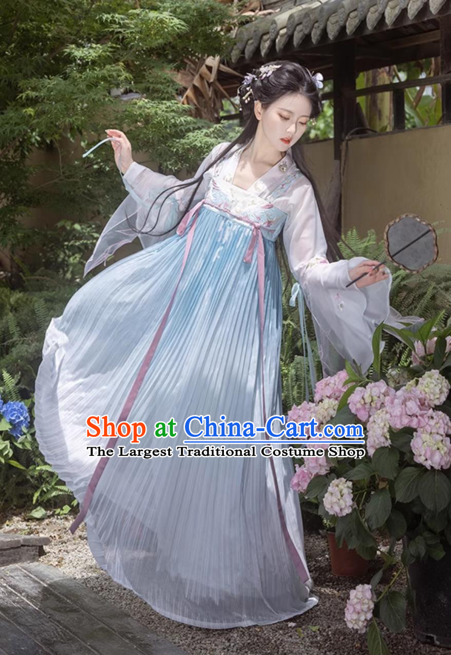 Traditional Tang Dynasty Princess Blue Hanfu Dress Ancient Chinese Clothing