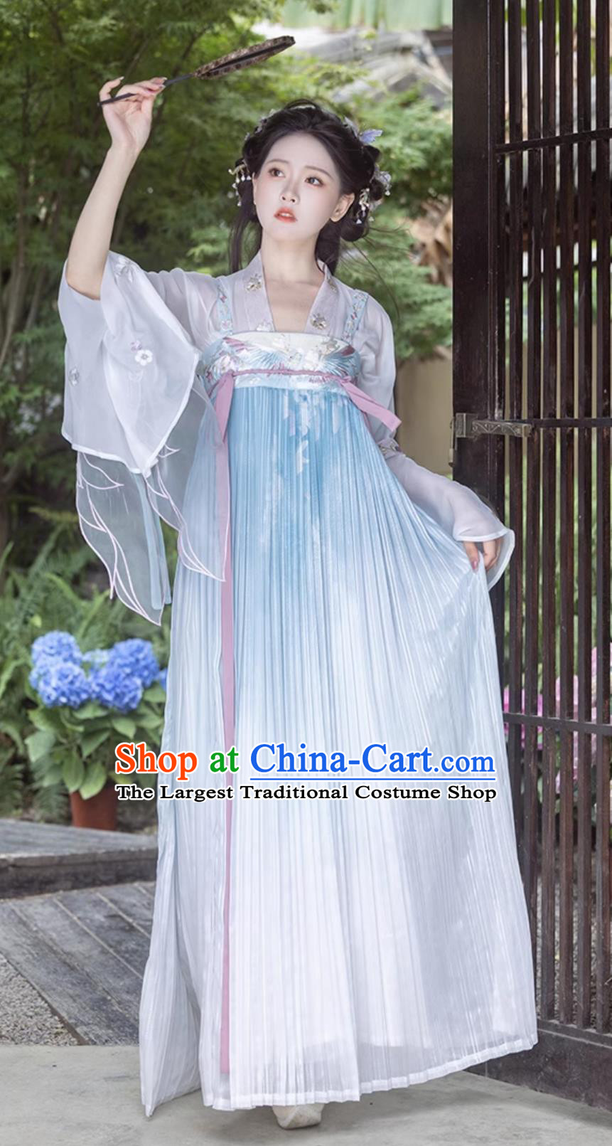 Traditional Tang Dynasty Princess Blue Hanfu Dress Ancient Chinese Clothing