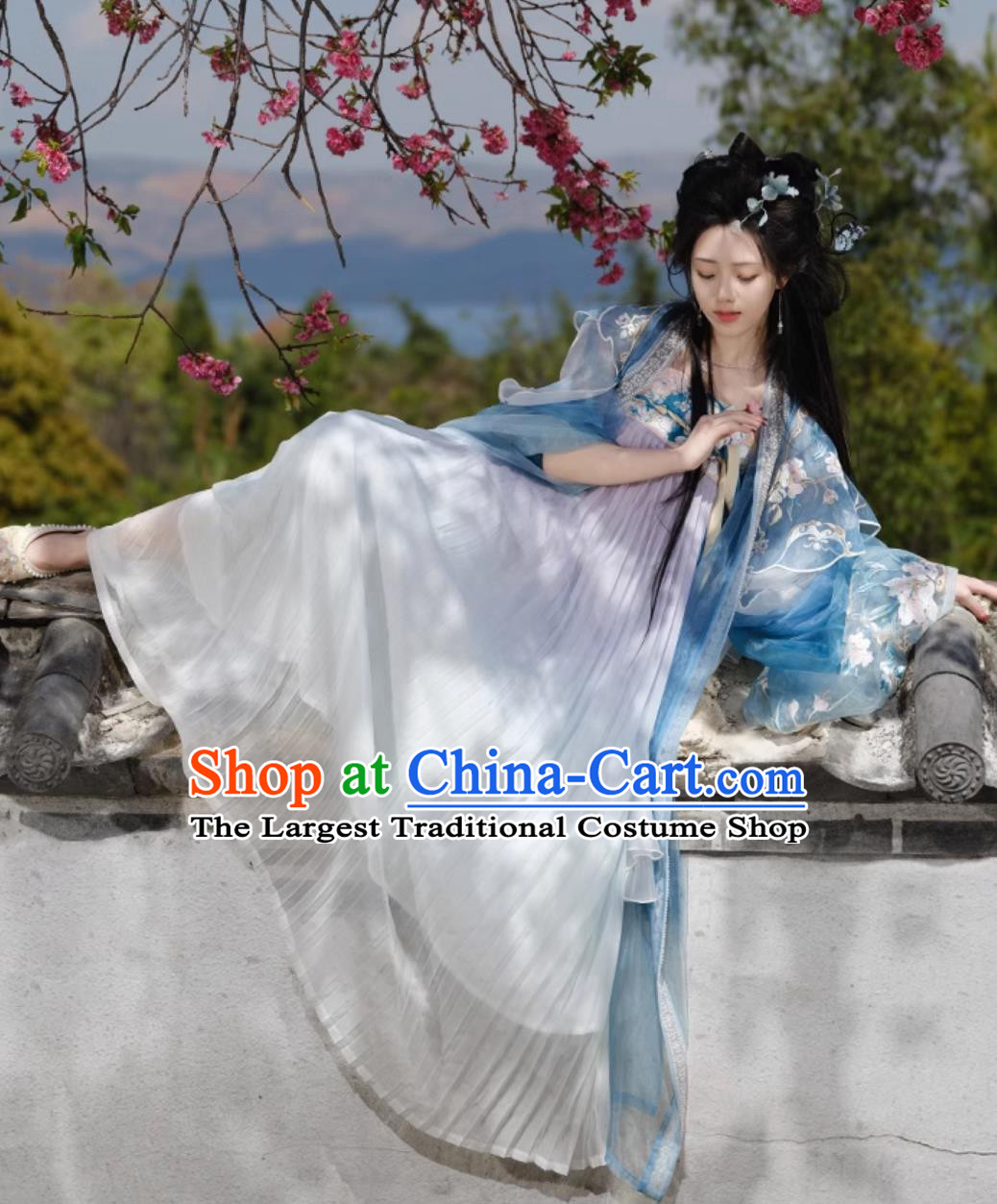 Traditional Hanfu Dress Ancient Chinese Female Clothing Tang Dynasty Princess Blue Garments