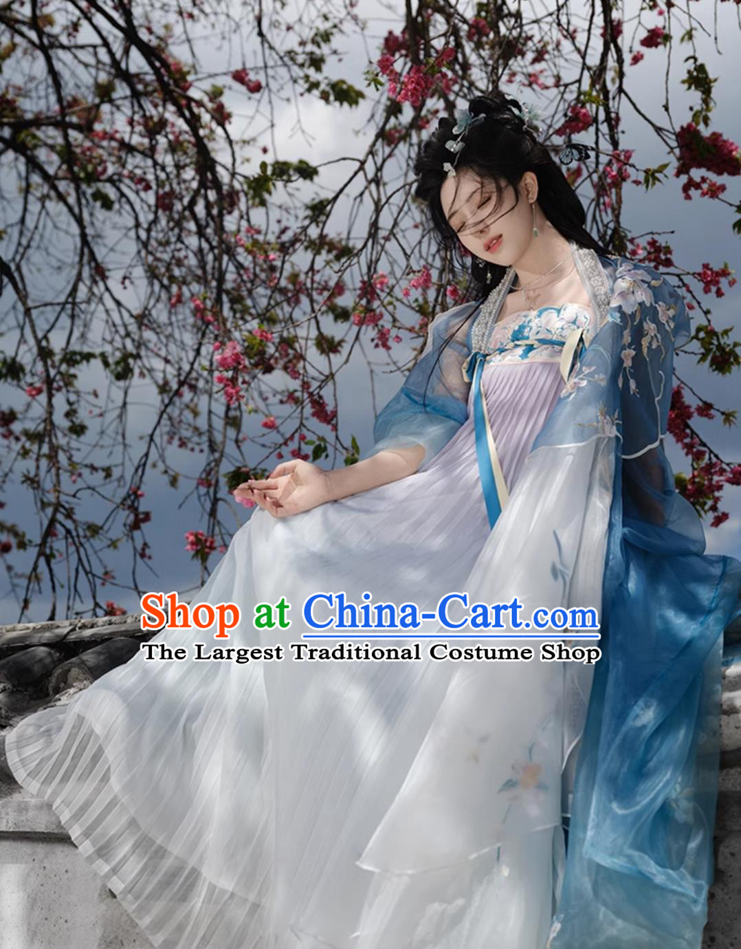Traditional Hanfu Dress Ancient Chinese Female Clothing Tang Dynasty Princess Blue Garments