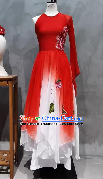 Dancing Gracefully Like A Startled Swan Costume Chinese Classical Dance Clothing Stage Performance Dress