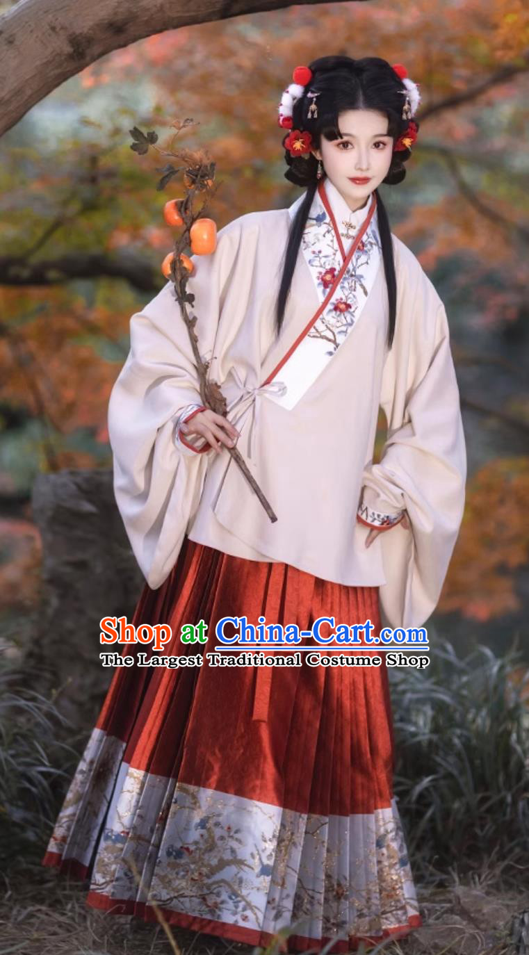 Traditional Hanfu Blouse and Red Mamian Skirt Ancient China Princess Costumes Chinese Ming Dynasty Woman Clothing Complete Set