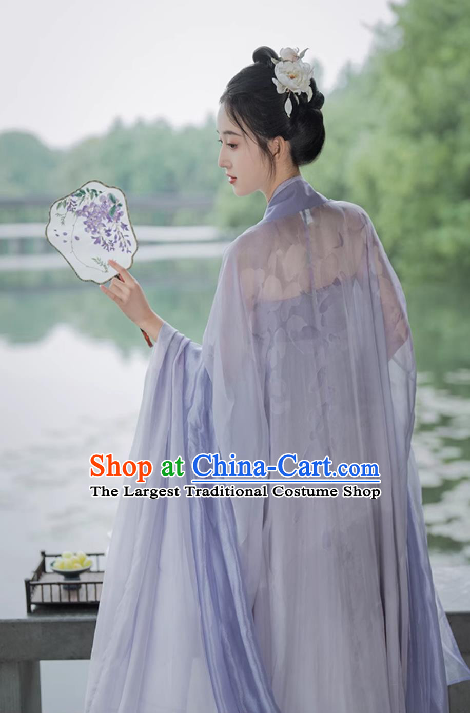 Ancient China Palace Princess Costume Traditional Wisteria Hanfu Dress Tang Dynasty Woman Clothing