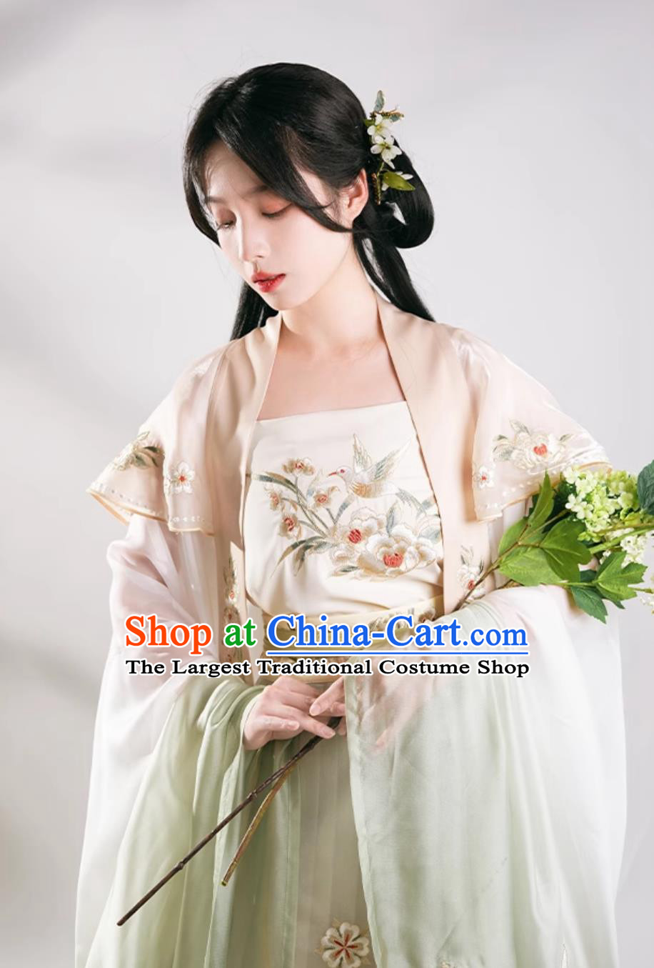 China Traditional Hanfu Dress Song Dynasty Woman Clothing Ancient Young Lady Costumes