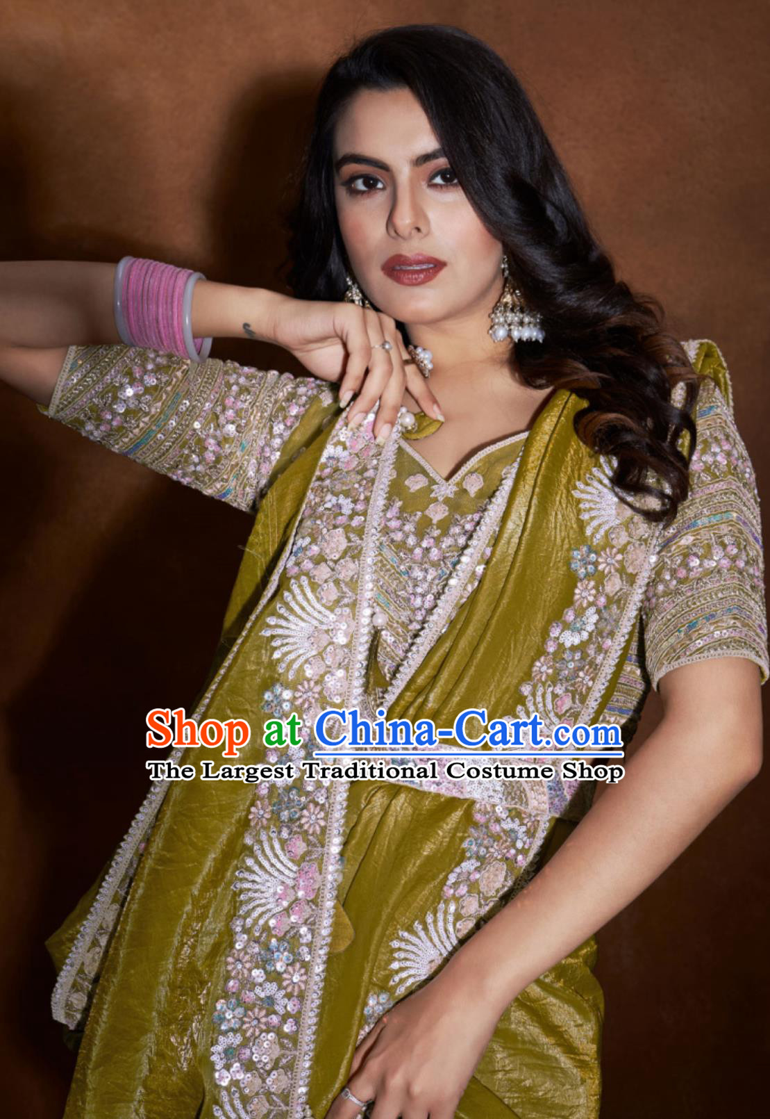 Indian Traditional Women Clothing India Embroidery Ginger Dress Festival Sari National Costume