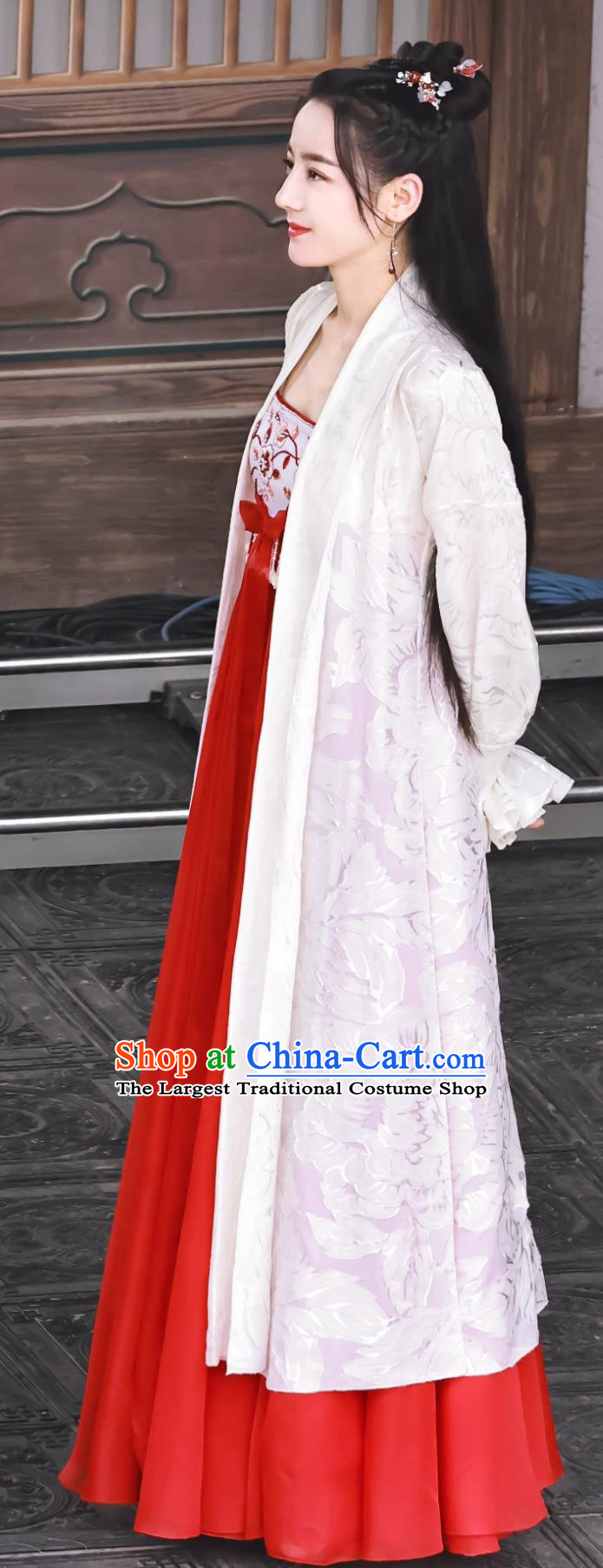 Traditional Woman Hanfu TV Series The Legend of An Le Princess Ren An Le Dress Ancient China Swordswoman Clothing