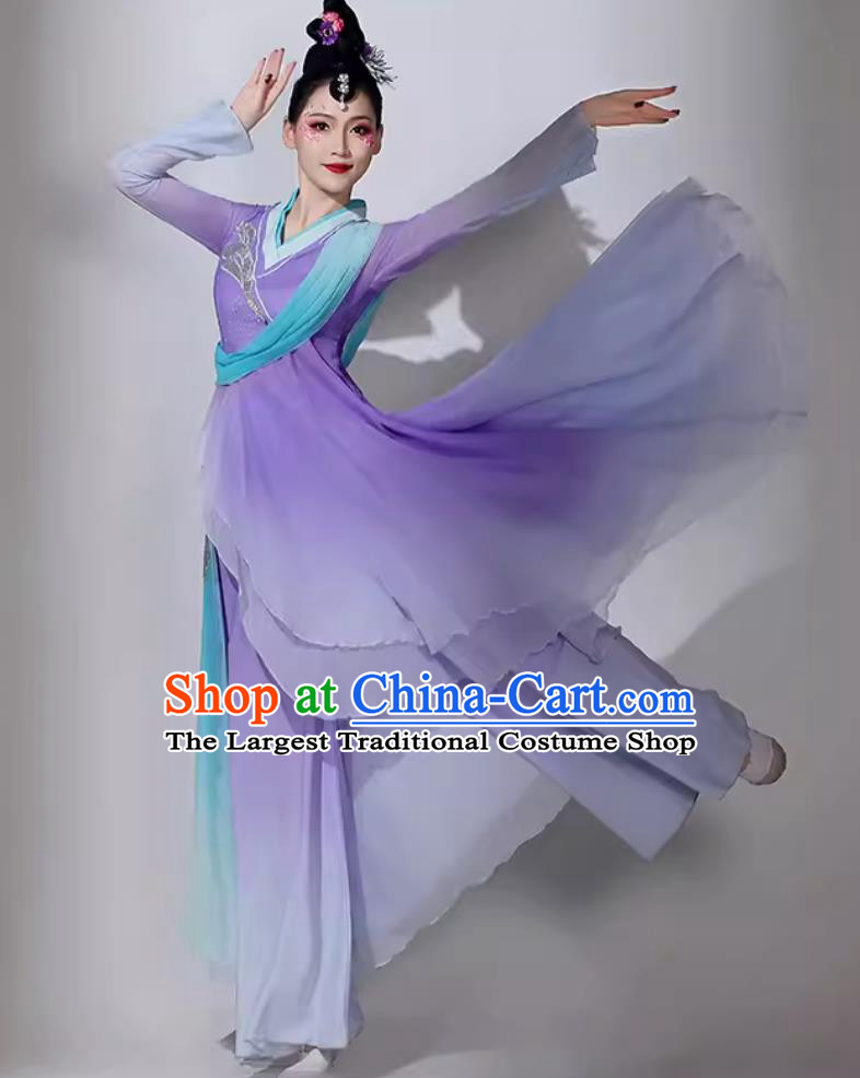 Traditional Dan Dance Lilac Dress Women Group Performance Clothing Chinese Classical Dance Costume