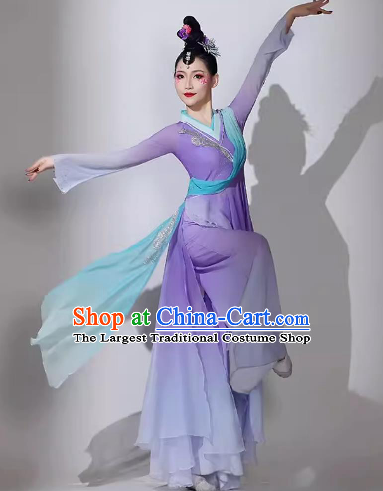 Traditional Dan Dance Lilac Dress Women Group Performance Clothing Chinese Classical Dance Costume
