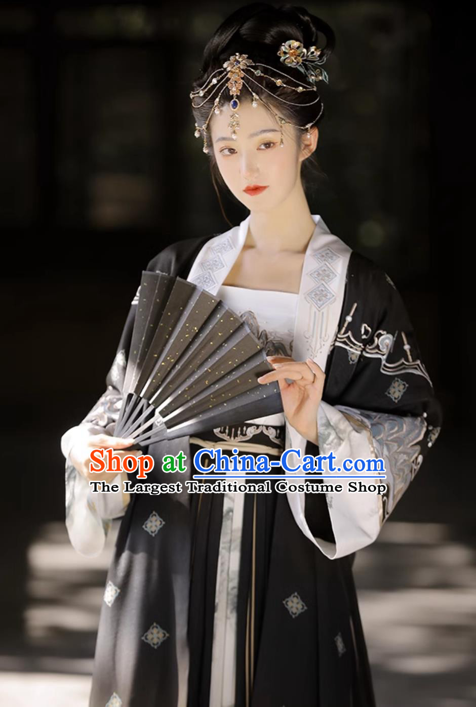 Ancient China Clothing Traditional Woman Hanfu Chinese Song Dynasty Costume Black Beizi and Skirt Complete Set