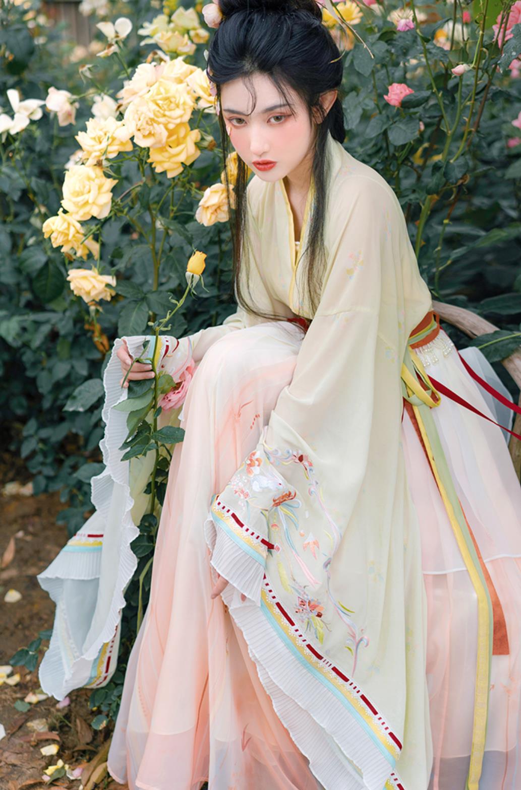 Traditional Hanfu Ancient China Fairy Clothing Chinese Southern and Northern Dynasties Princess Dress