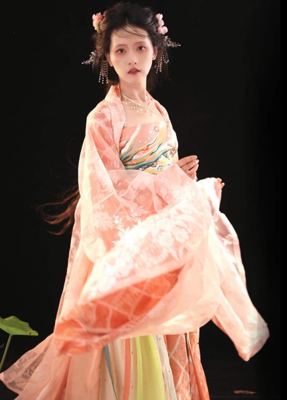 Chinese Tang Dynasty Princess Dress Traditional Hanfu Ancient China Fairy Clothing